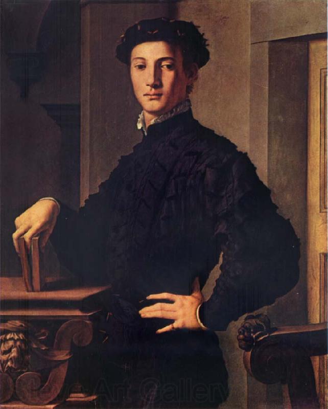 BRONZINO, Agnolo Portrait of a young man France oil painting art